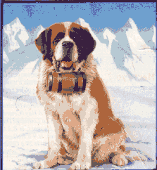 St Bernard