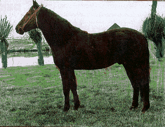 cheval